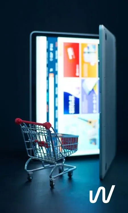 Shopper using an online store