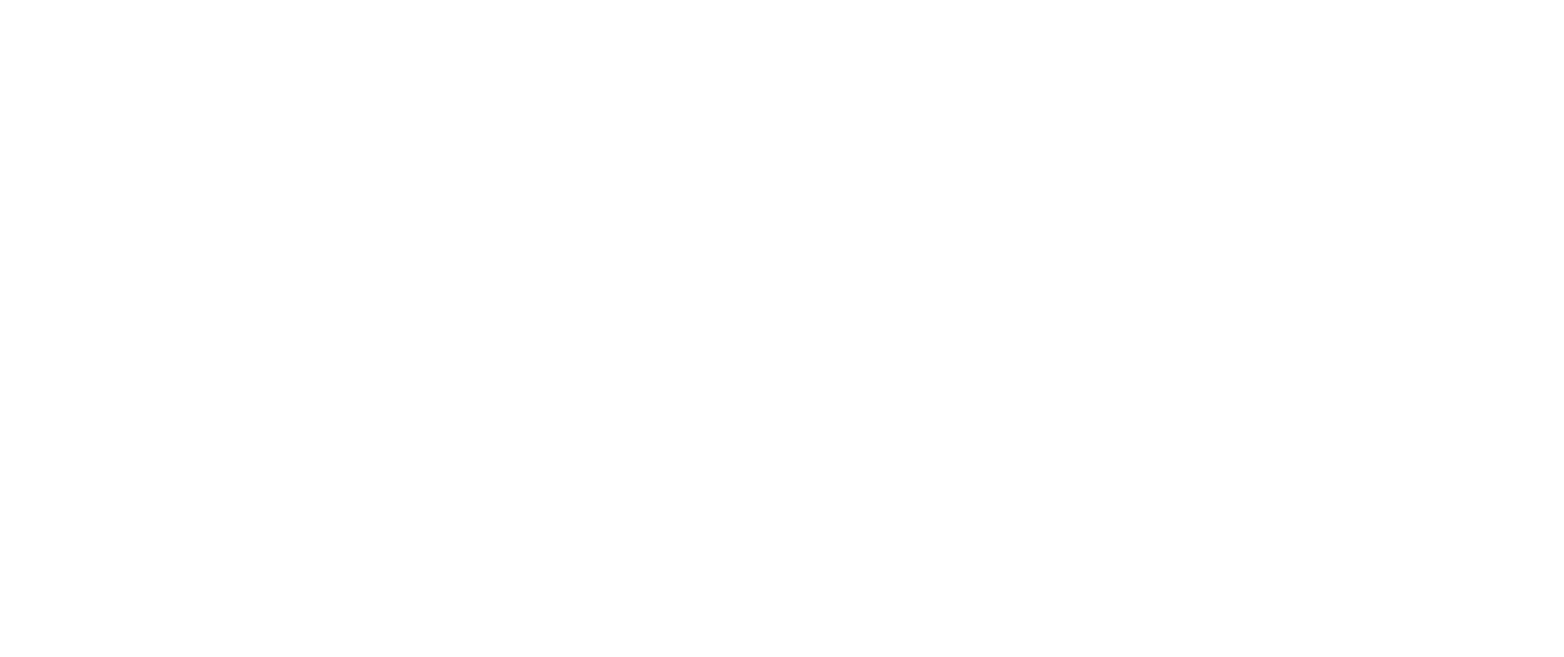 Western Wholesale Supply logo