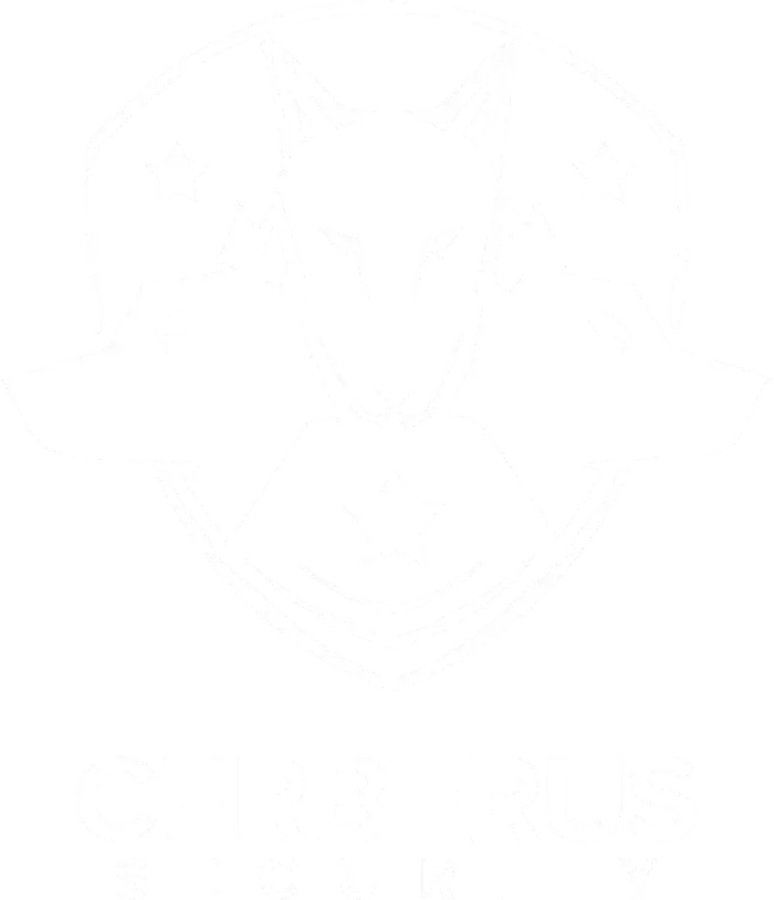 Cerberus Security